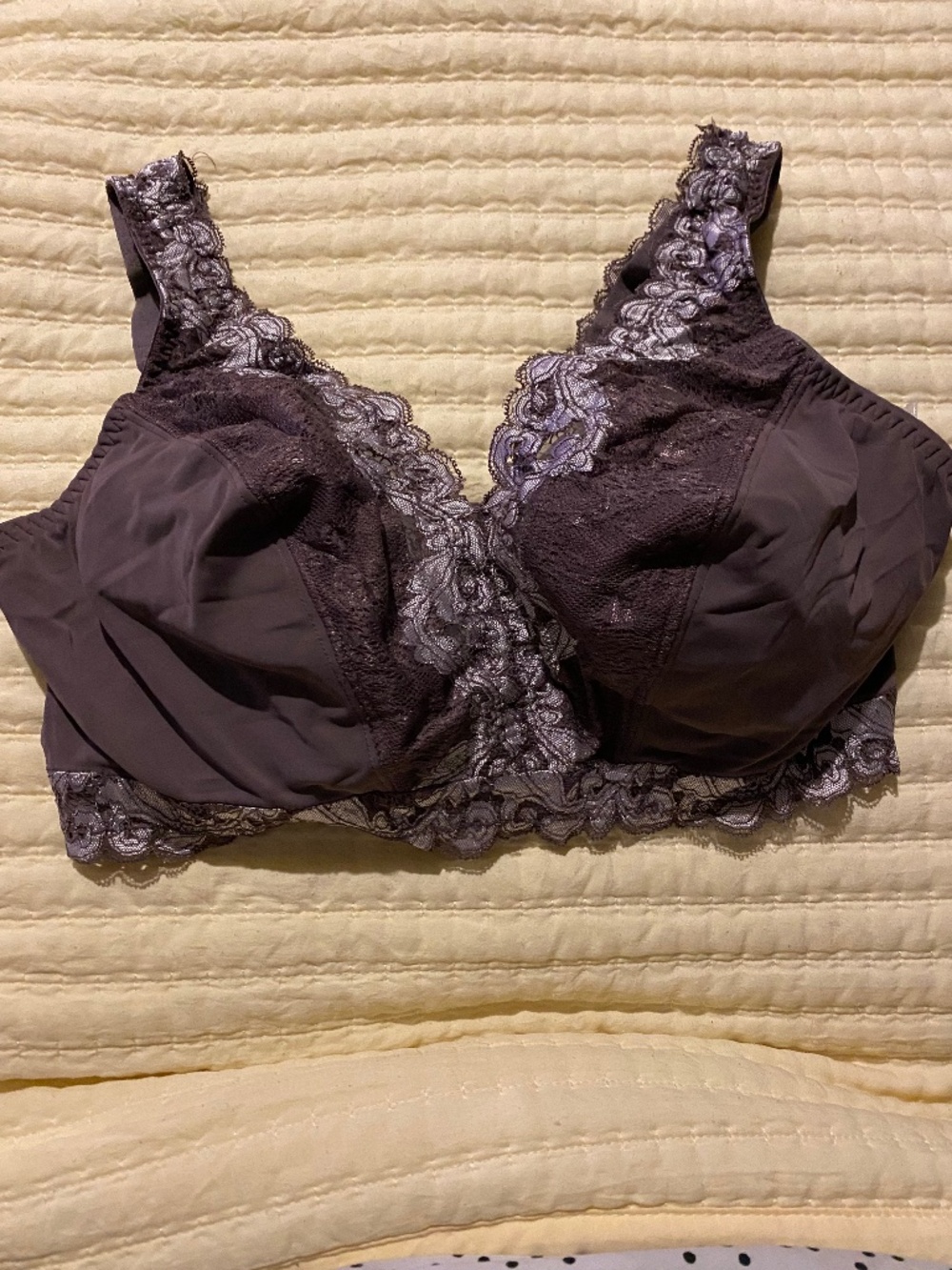 Breezies woman's wireless lace bra